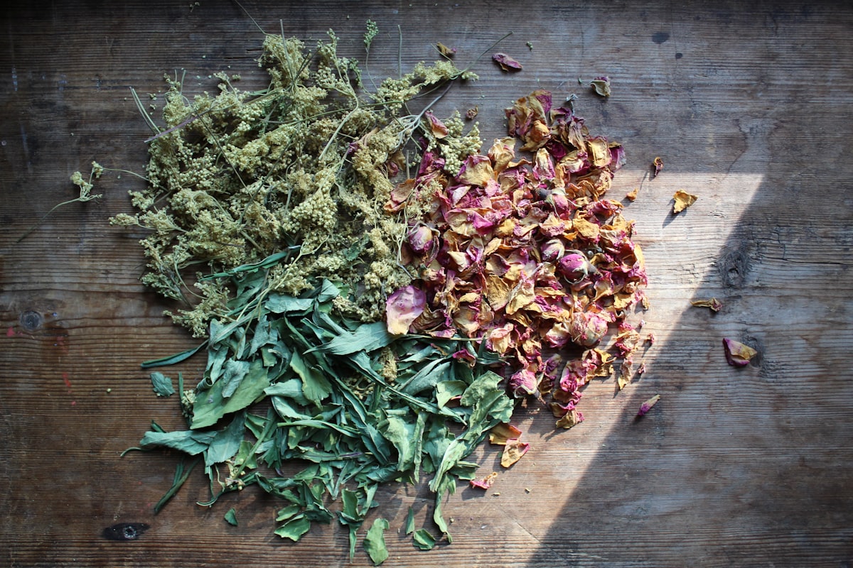 Povestea Parasitefreeliving